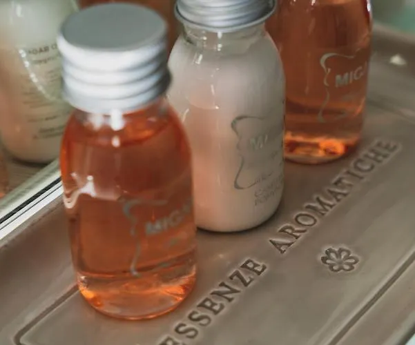 Embassy 호텔 리치오네